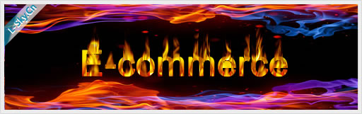 结合实例谈社区型电子商务的未来