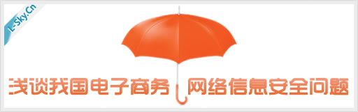 浅谈我国电子商务网络信息安全问题