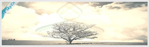 悠然白鹿：2010年12月15日凌晨值班心得