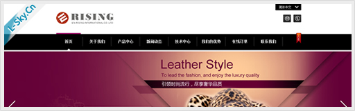 恩陞国际有限公司